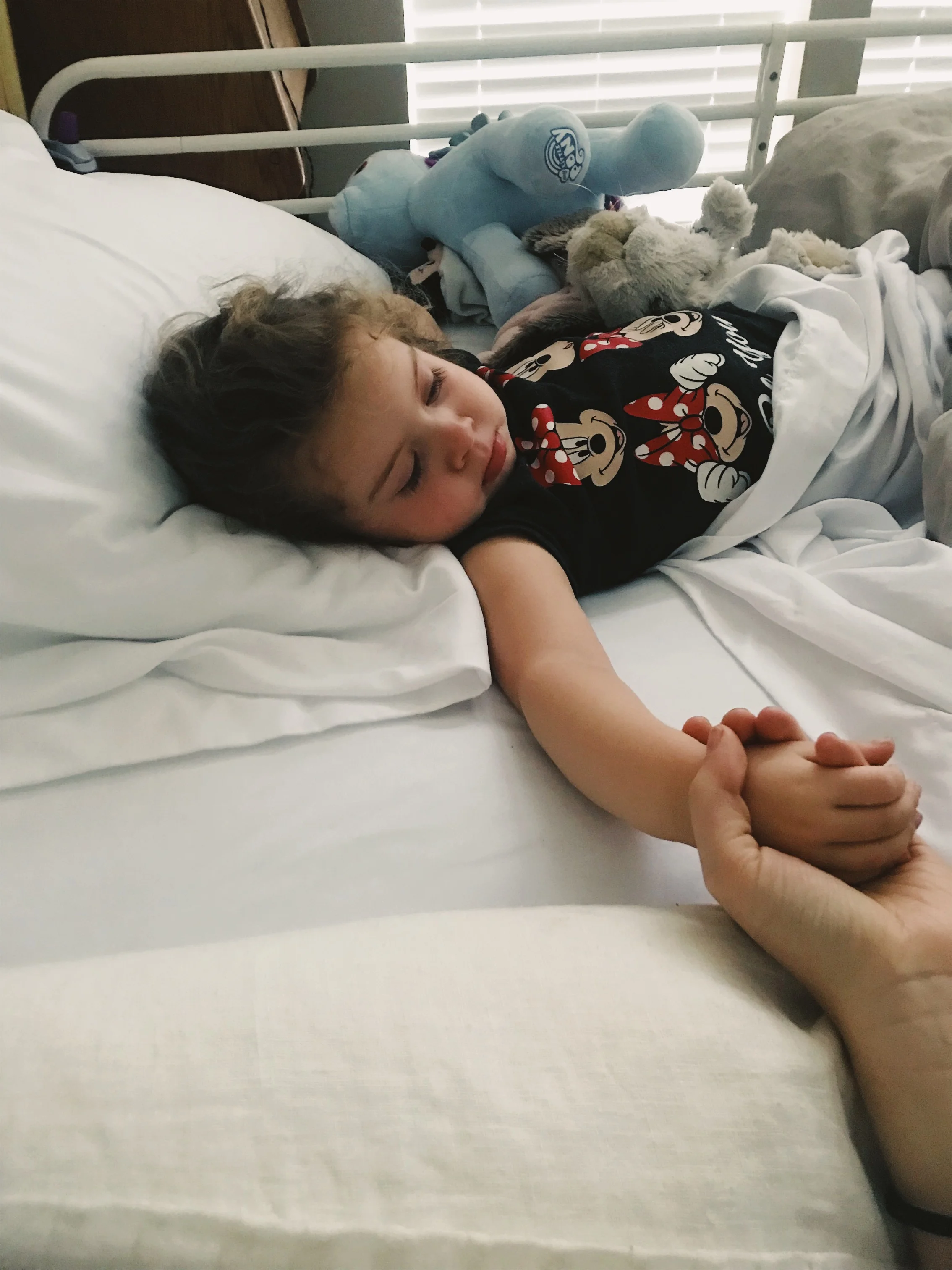 JPEG image-251F92691847-2.jpeg