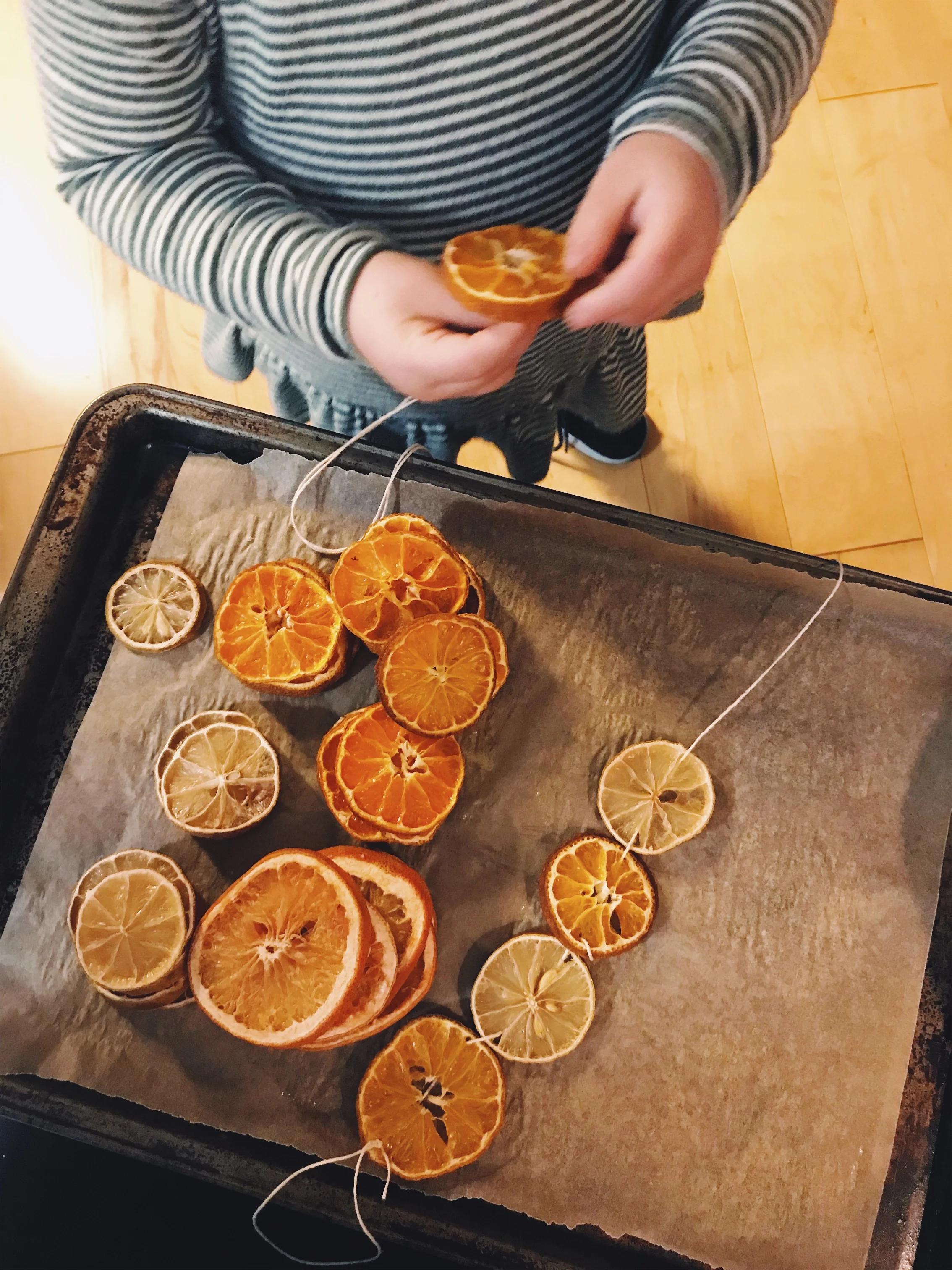 JPEG image-A1093876F5AC-10.jpeg