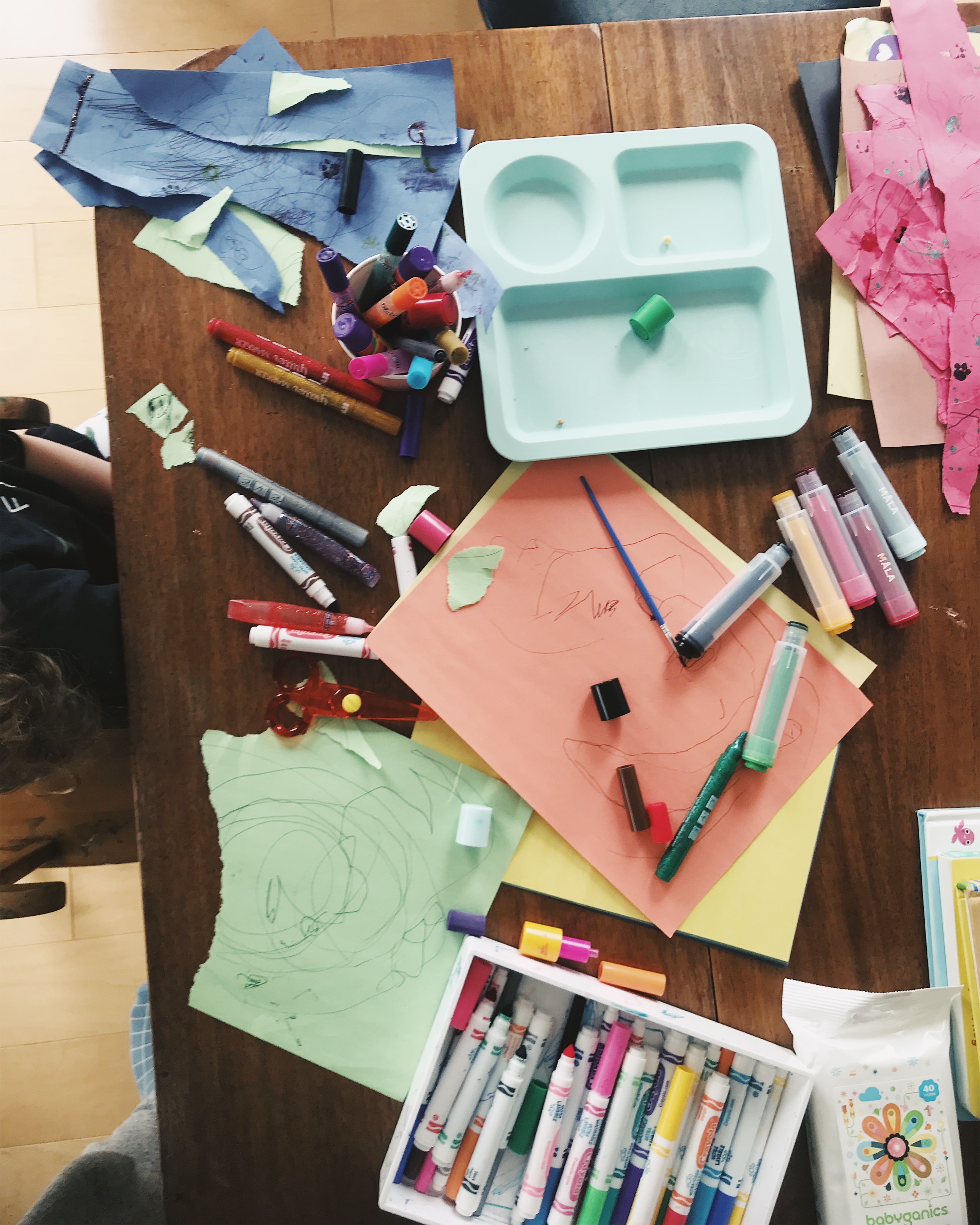 JPEG image-74B8330A2225-7.jpeg