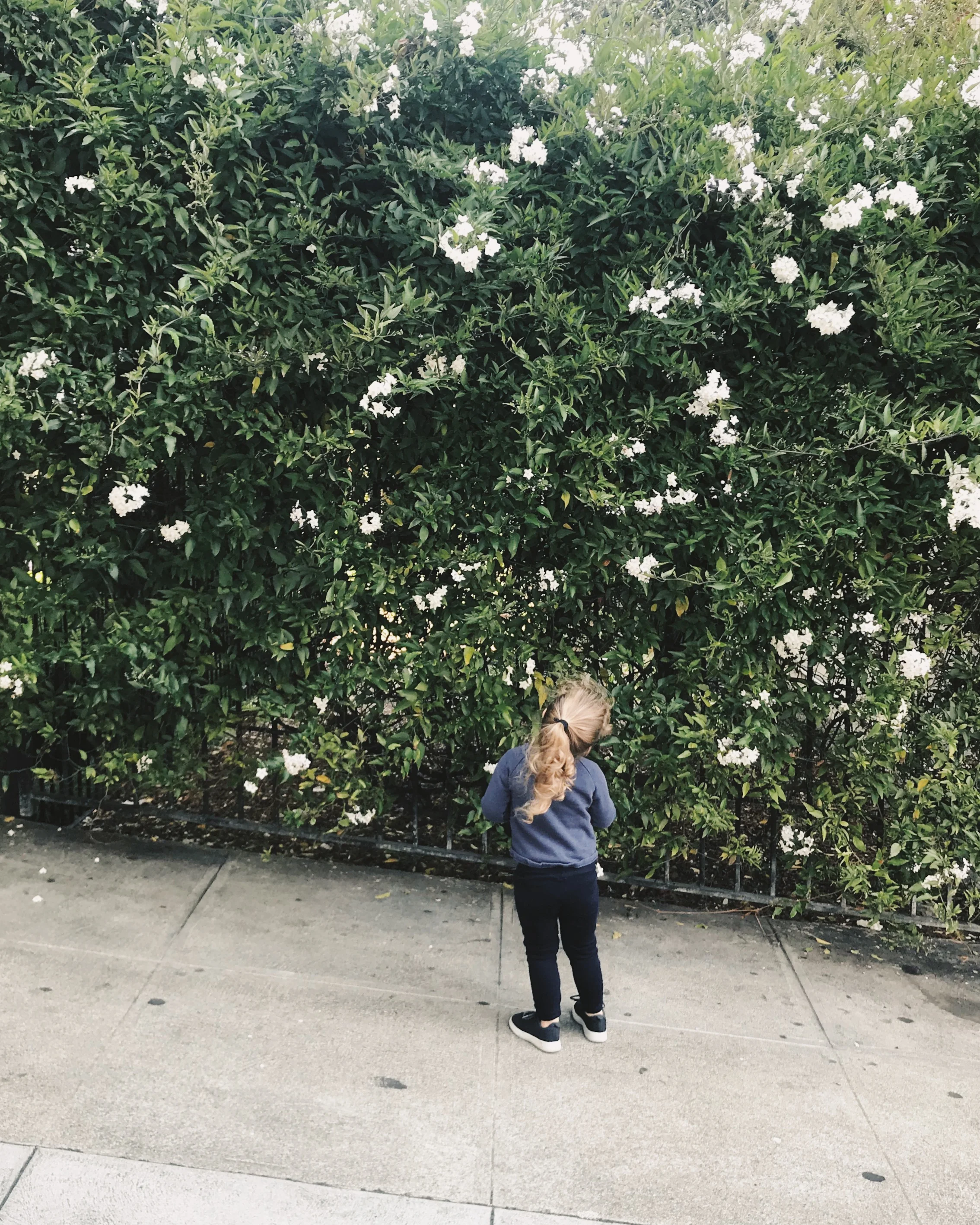 JPEG image-4E61A4A002B0-2.jpeg
