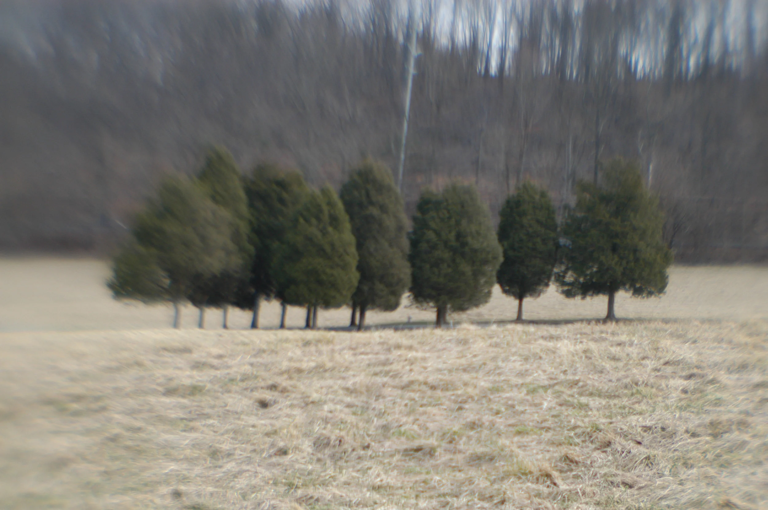DSC_0071.jpg