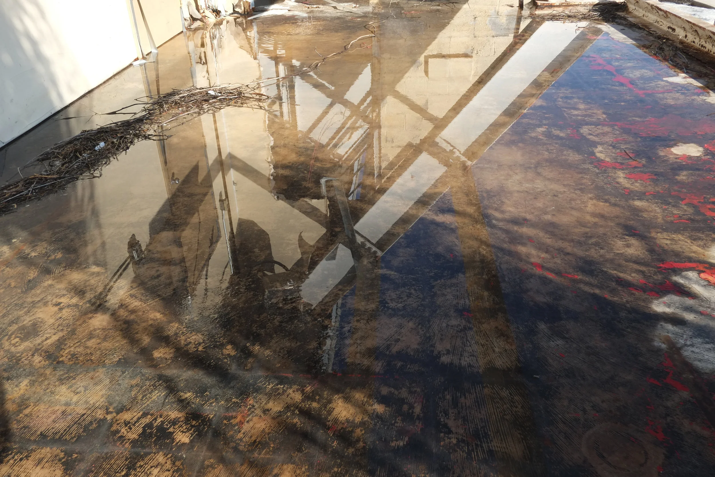 untitled (1 of 1)-18.jpg