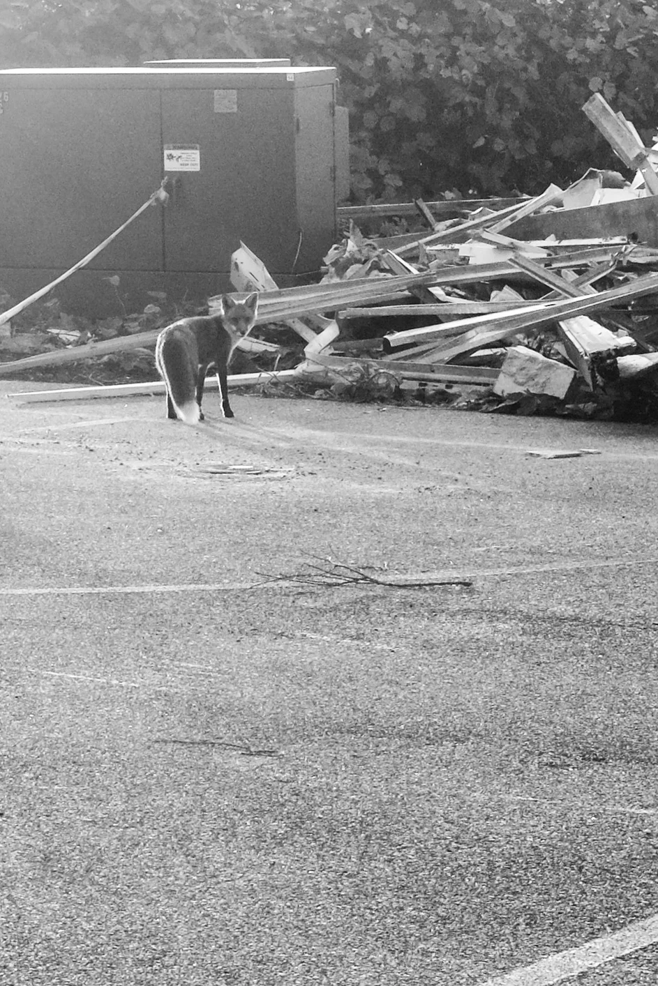 untitled (1 of 1).jpg