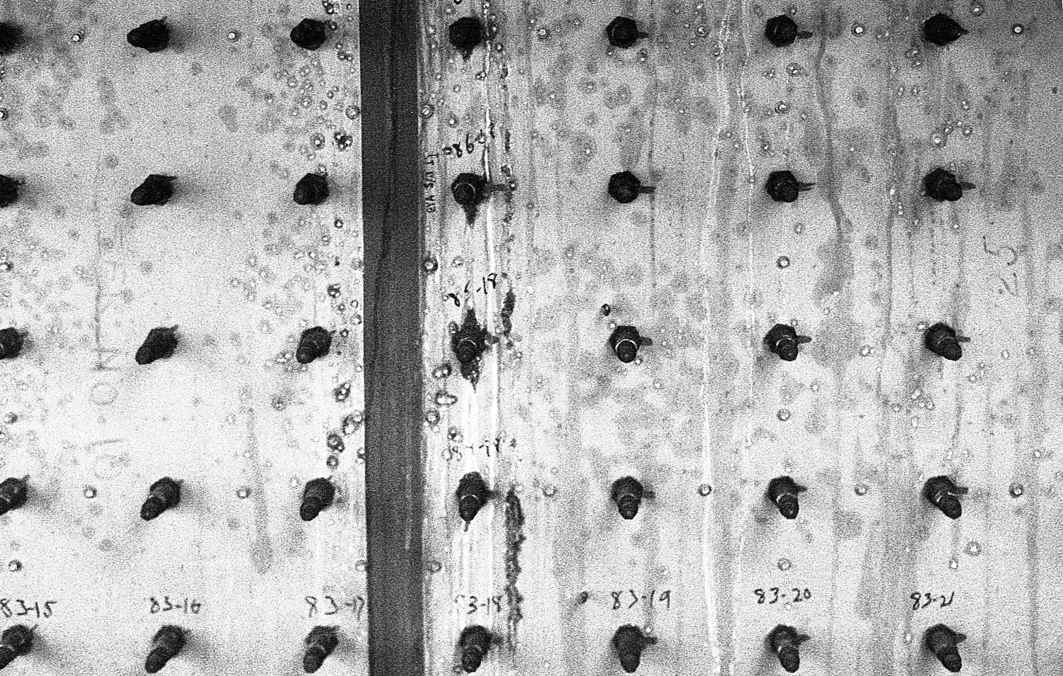 untitled (1 of 1)-8.jpg