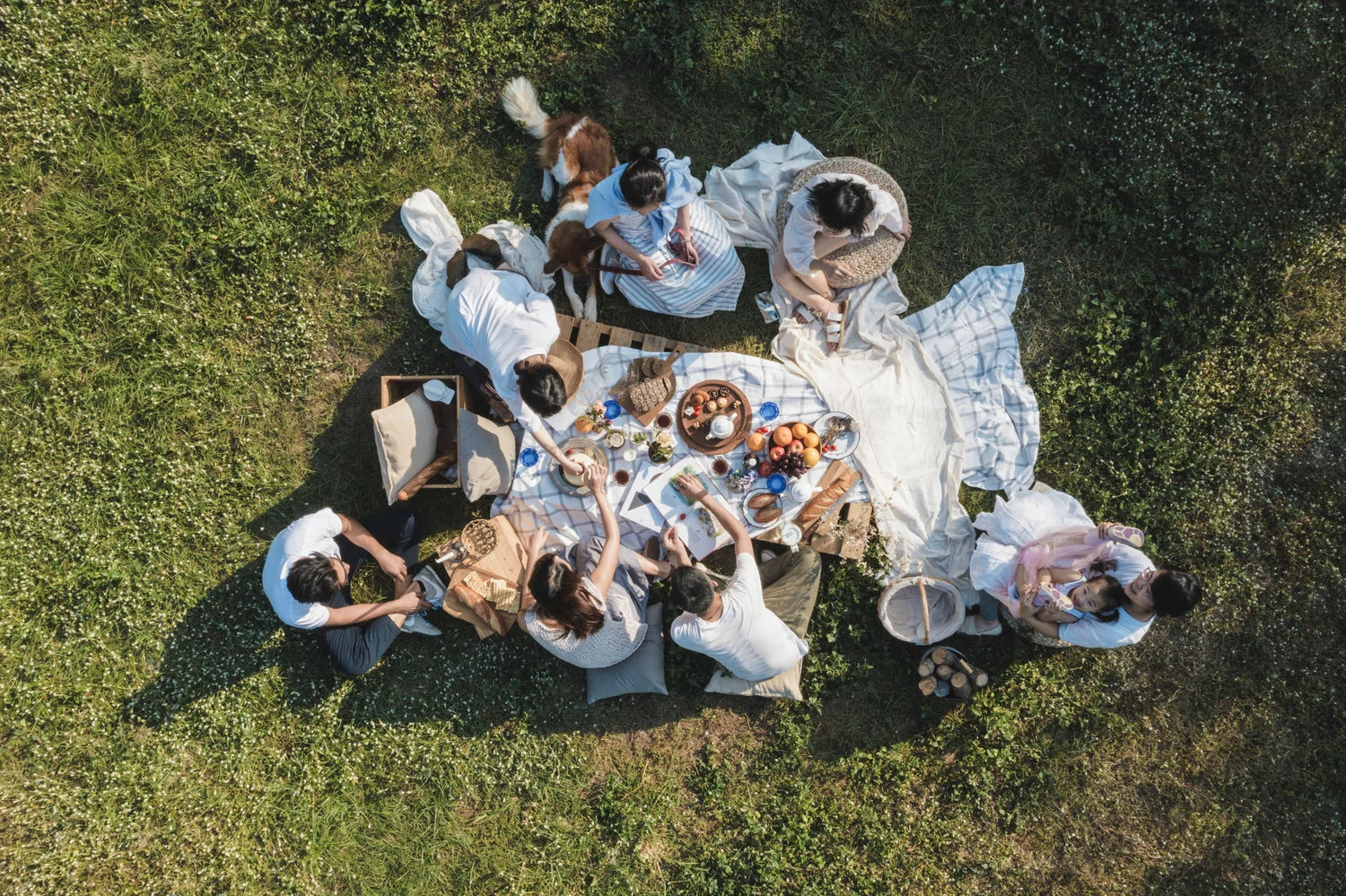 兩手空空也能來牧場野餐! 夏知市有適合野餐的好物美食, 並提供野餐墊的租借,讓您不用煩惱沒有食材、沒有裝備, 我們已預備了舒適的場地,要給您美好的一天。 時間 | All time 費用 | 自備用具 or 現場租用$200~350