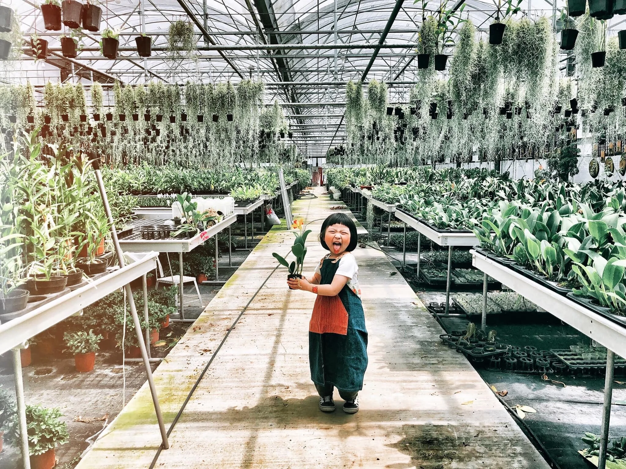植物X職物 | 用雙手蓋一座森林遊樂園 由小星慢慢親自在市集攤位帶領大家, 希望讓親子可以在職人手作和植物的溫度中, 找回自然的感動。 時間 | All time 費用 | $300-350
