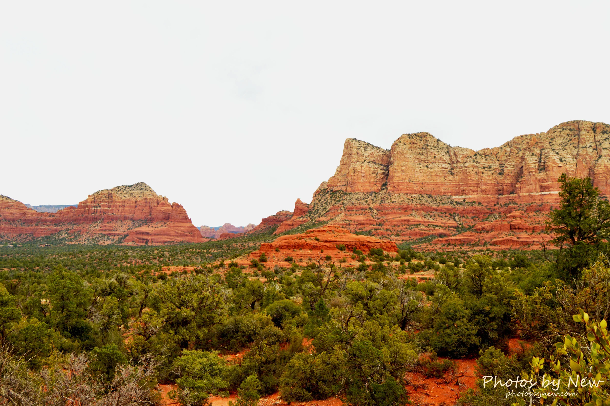 DSC_0436.jpg