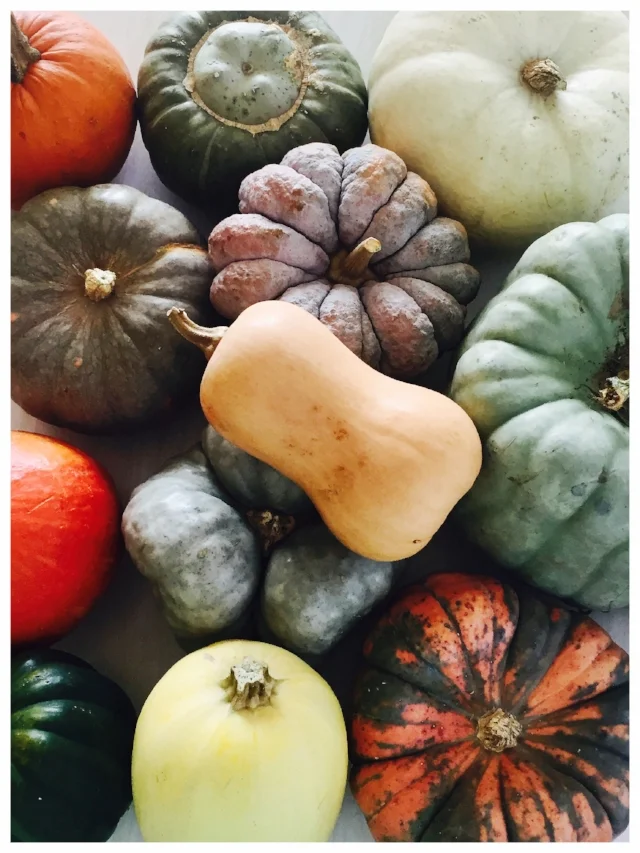 The winter squash varieties I currently have sitting on my kitchen table.