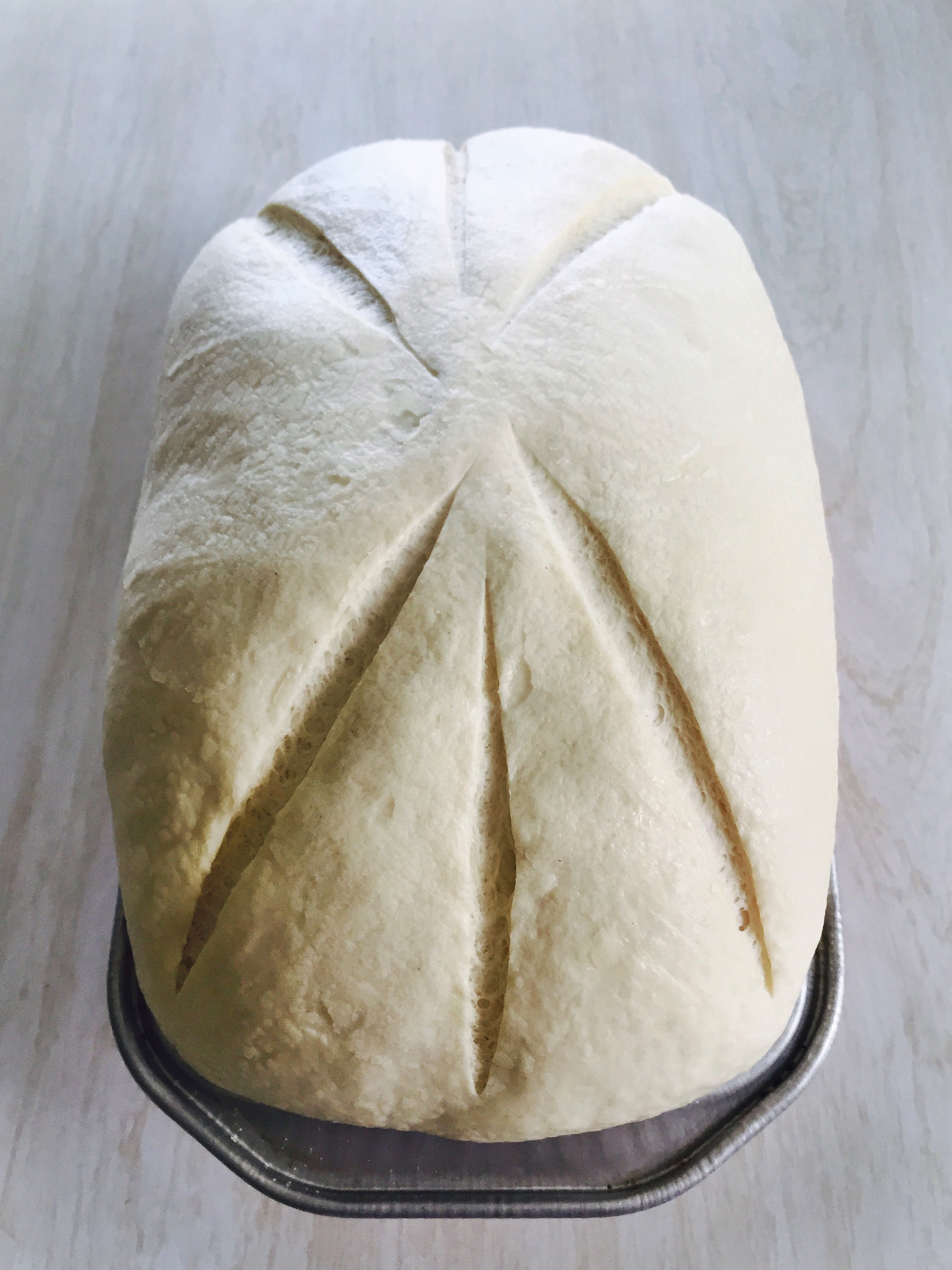 Bread making step 10 scoring the dough.jpg