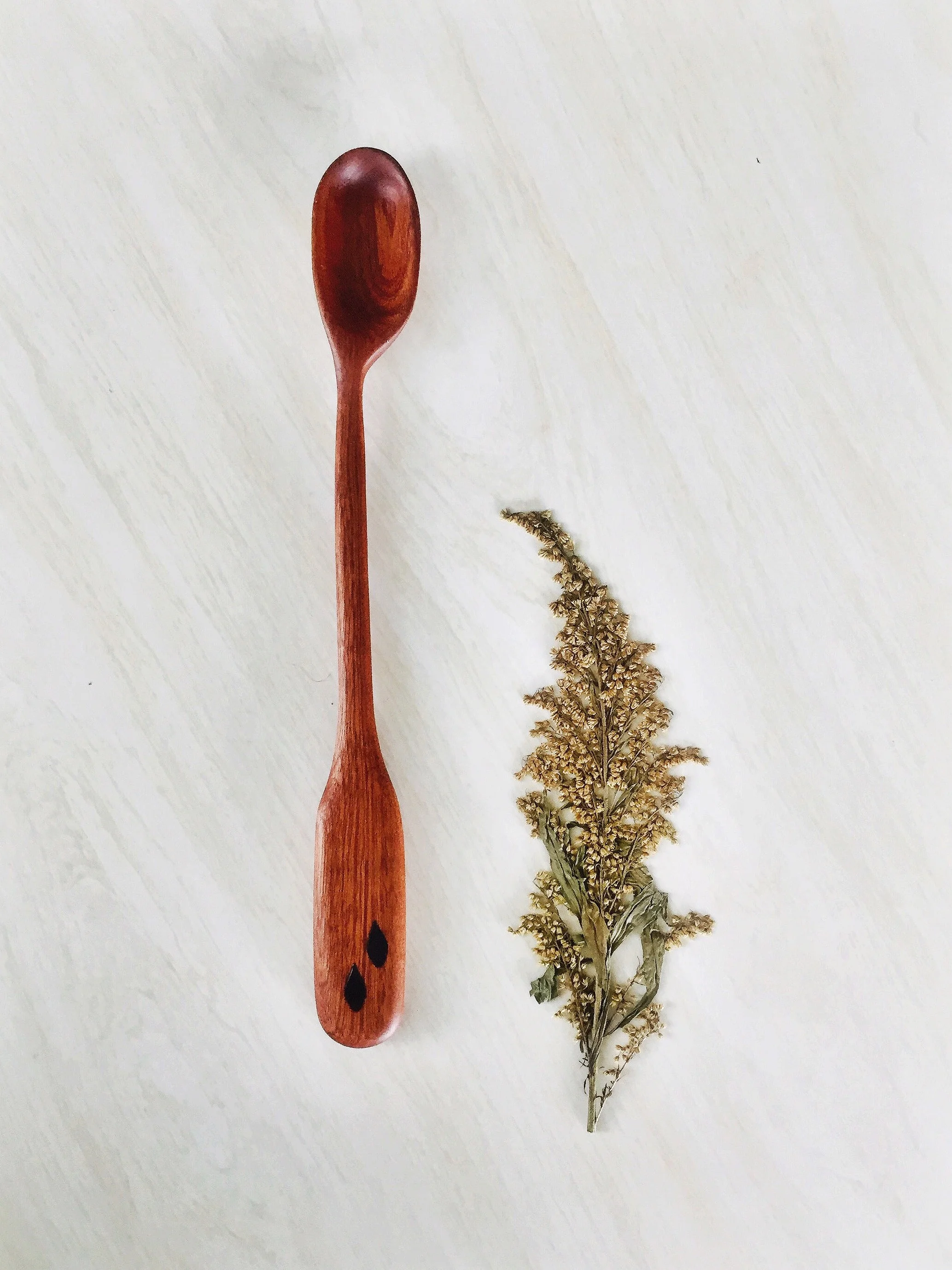 Baker's Spade botanicle .jpg