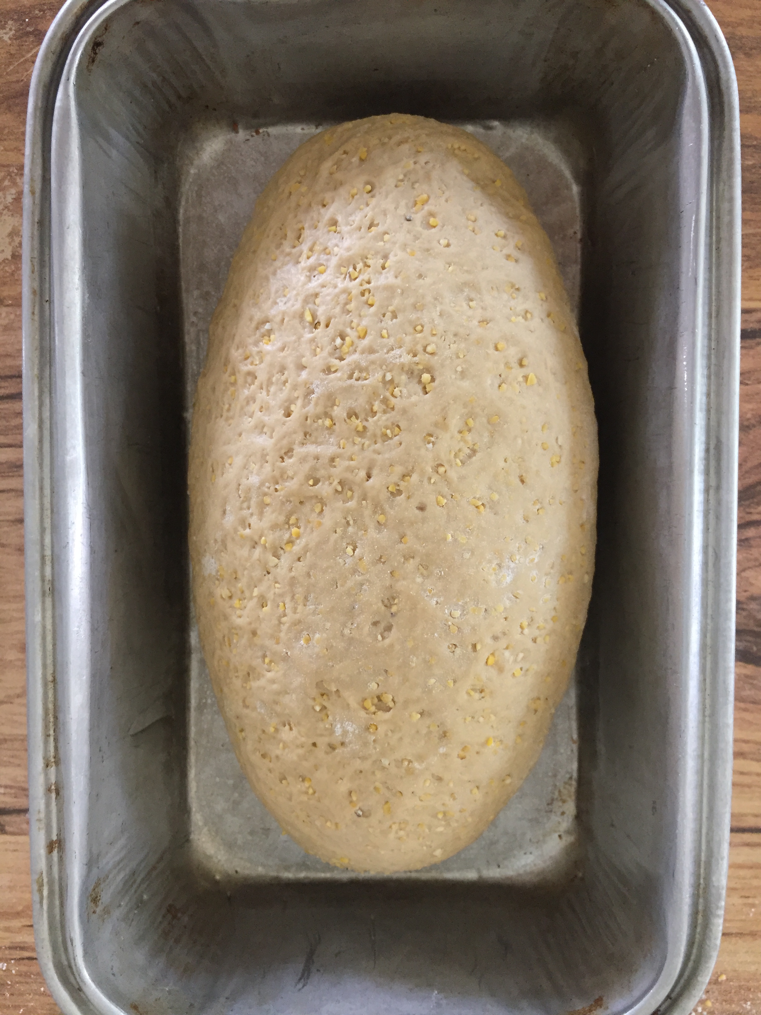 Shaped loaf in pan.JPG