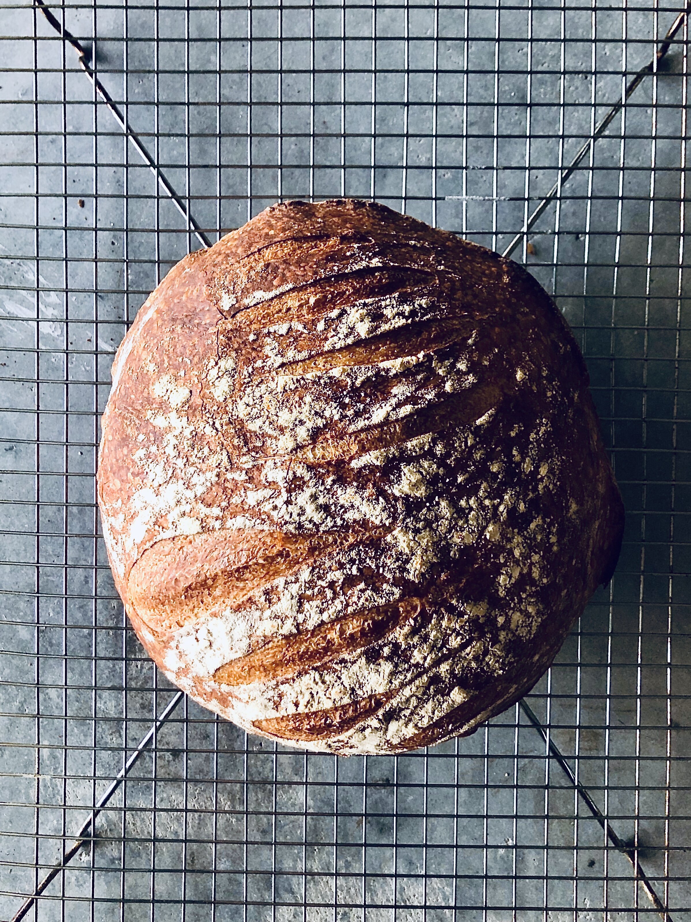 Simple Sourdough Loaf.jpg