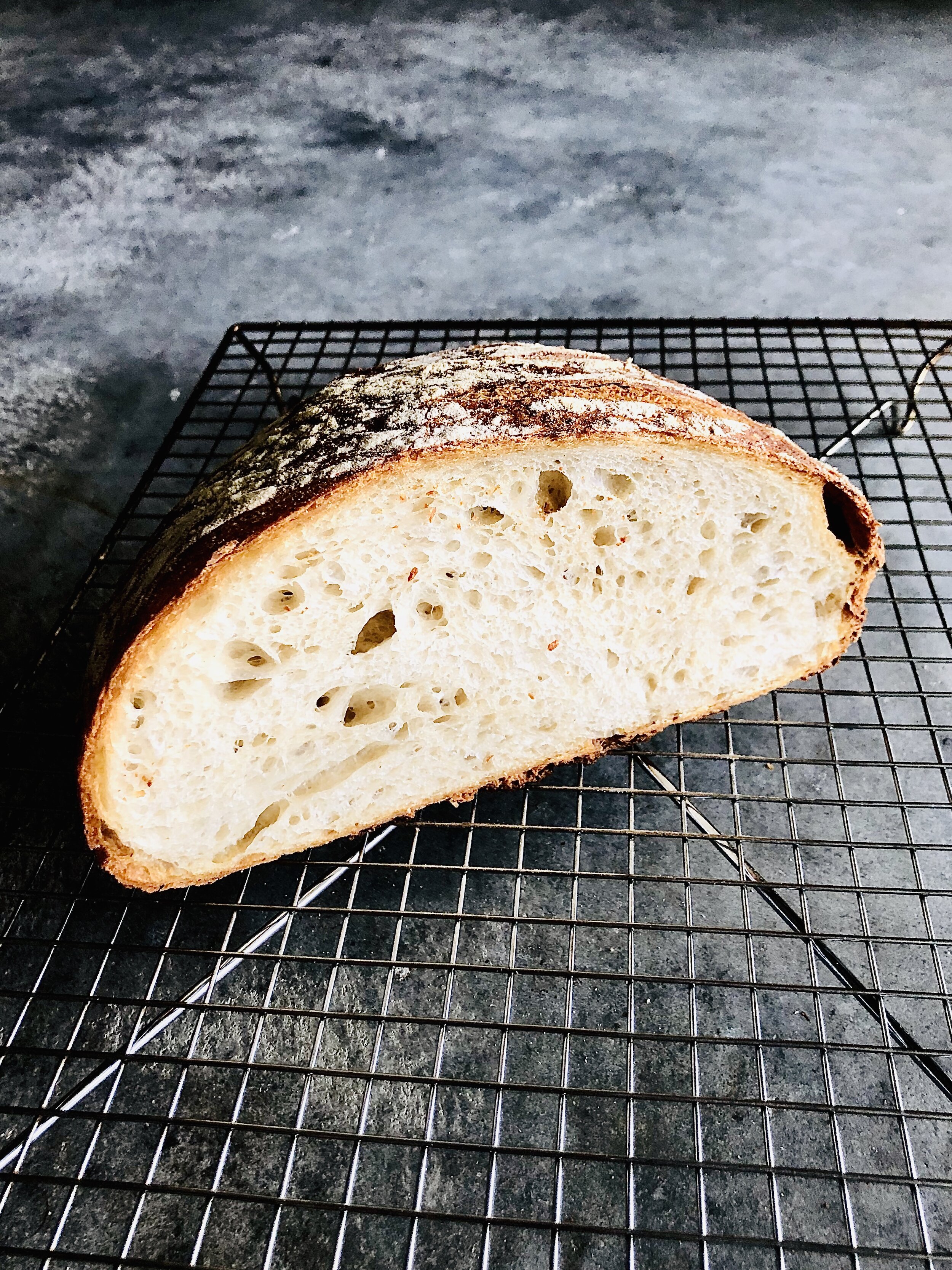 Sourdough Still Life.jpg