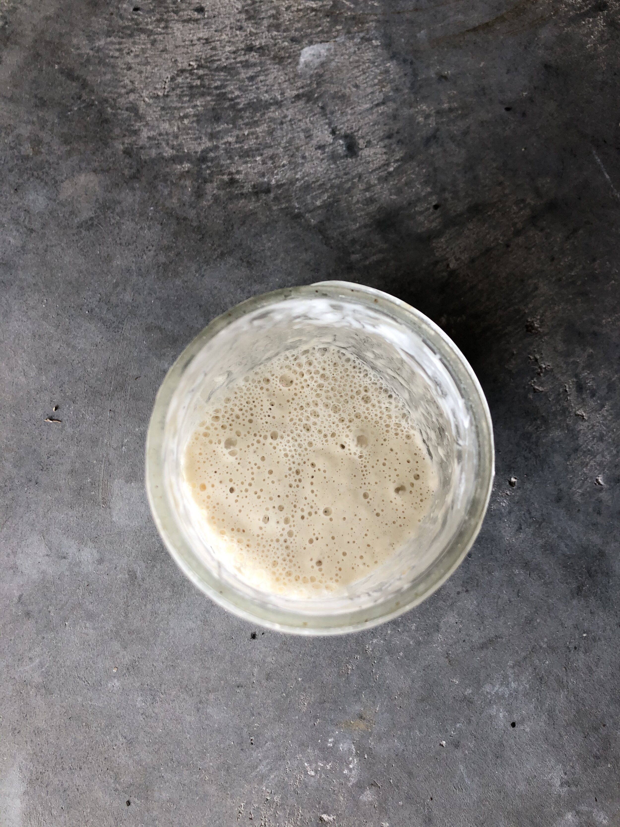 Sourdough starter.jpg