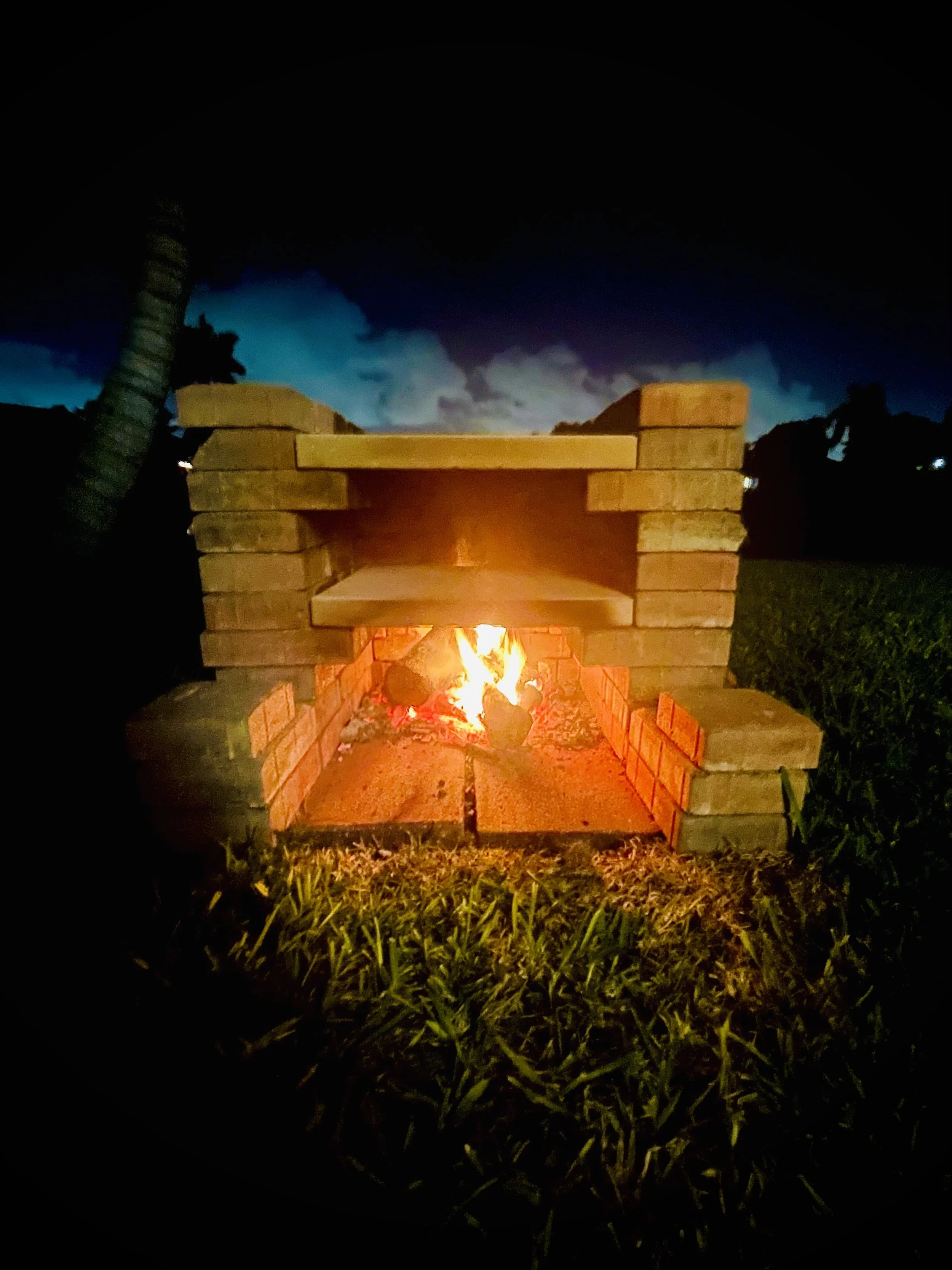 We Built A Backyard Wood Fired Pizza Oven