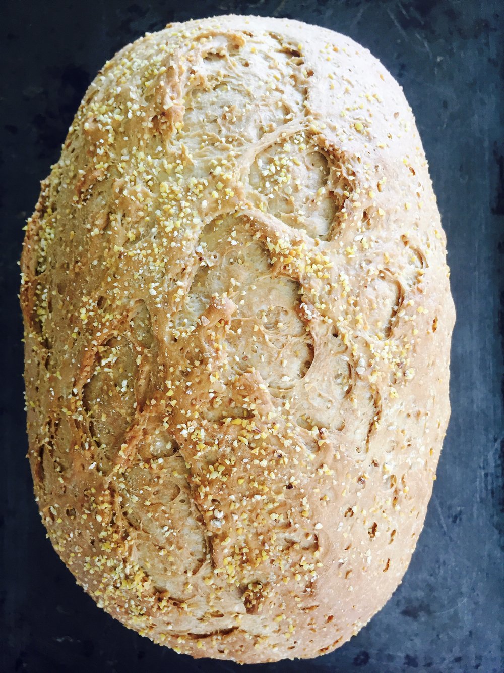 Anadama Bread.jpg