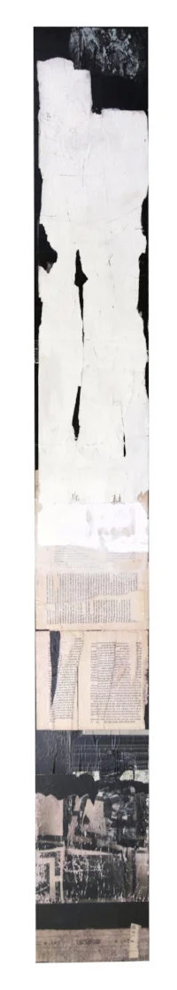 Silk Curtains