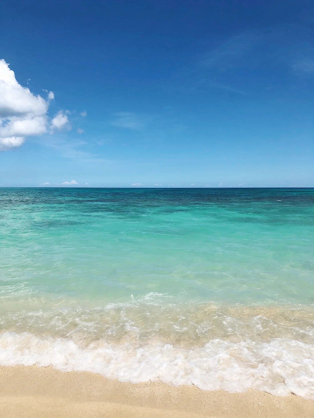 What I've Been Up To ...