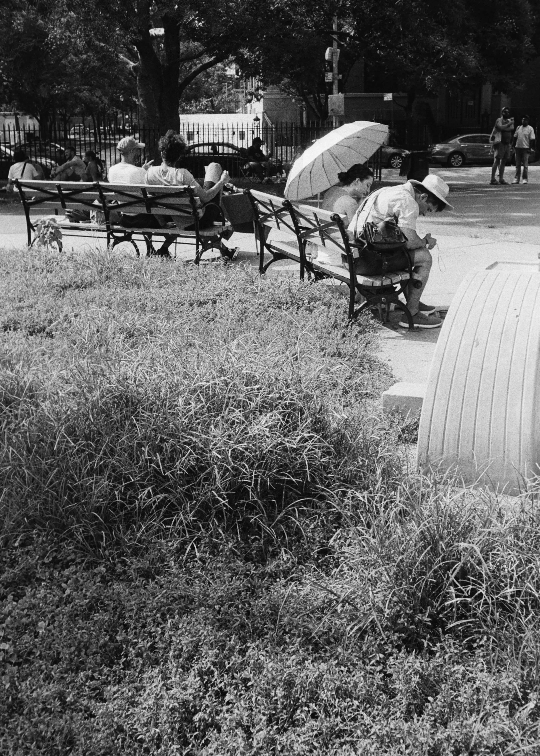 cinestill_bwxx_10_10_2023_000084030019 2.jpg