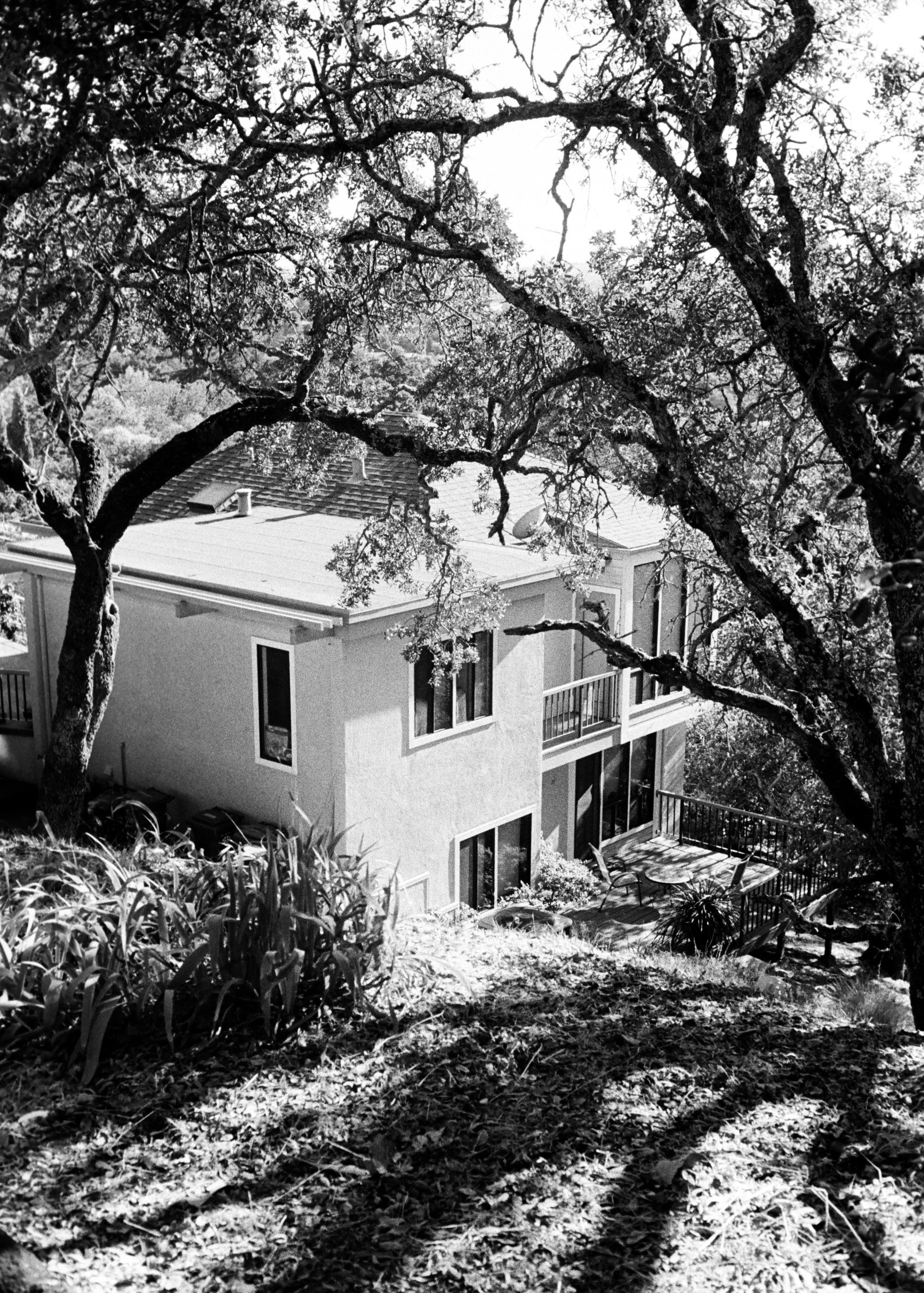 kodak_professional_tri-x_400_10_10_2023_000084020016 2.JPG