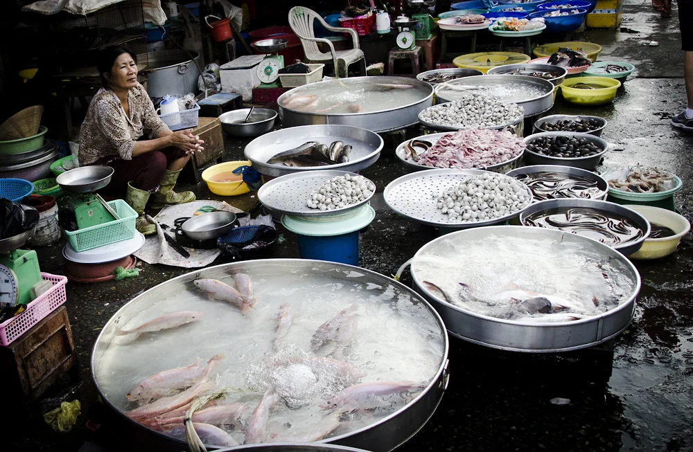 Asia_vietnam_CaiBe_SaDec_Mekong_market_5.jpg