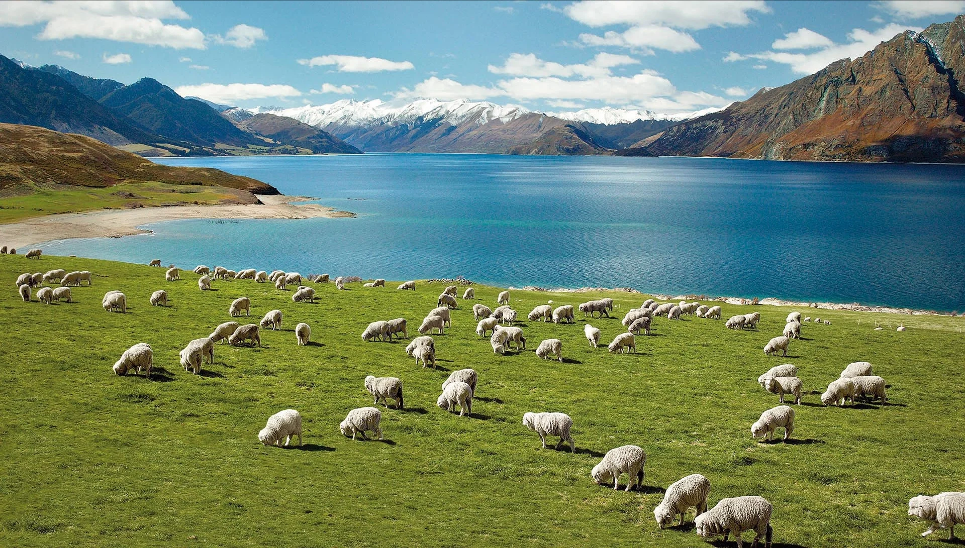 Lake Hawea.jpg