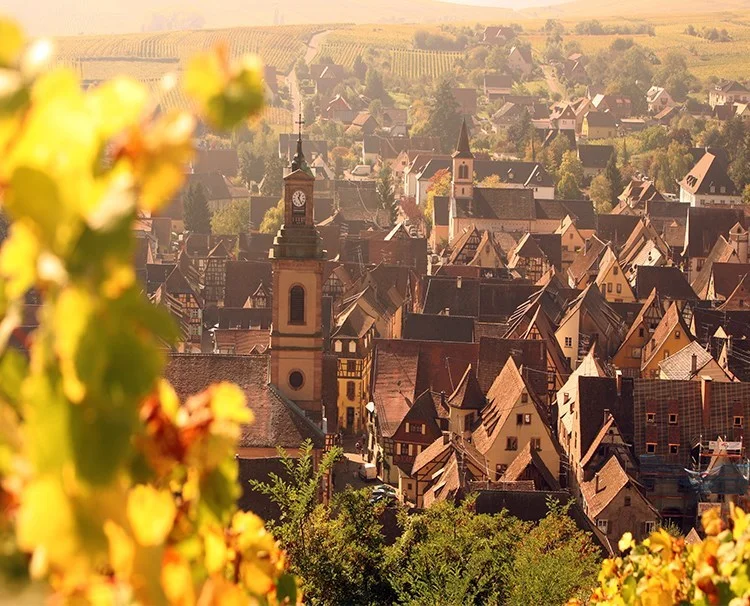enchantingrhine_FRANCE_Riquewihr_ss_460398736_dailyprogram.jpg