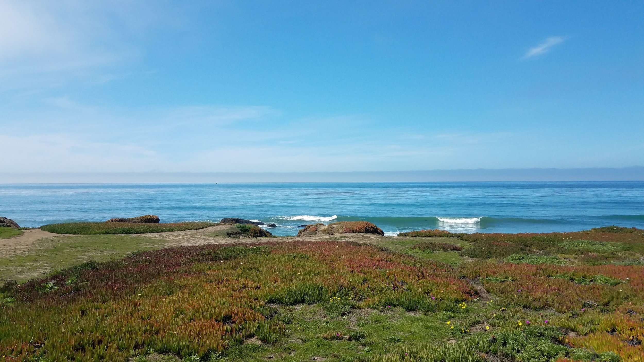 20180401_115918.jpg