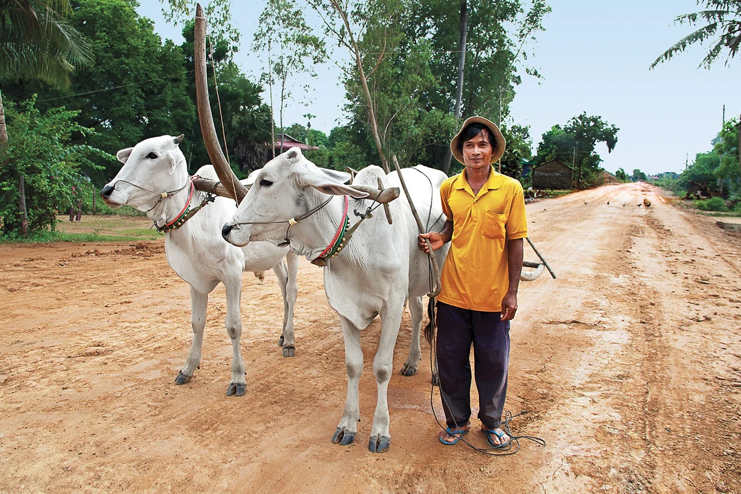 richesofthemekong_OUDONG_Ox_Cart_IMG_0643_UG2_48752_gallery.jpg