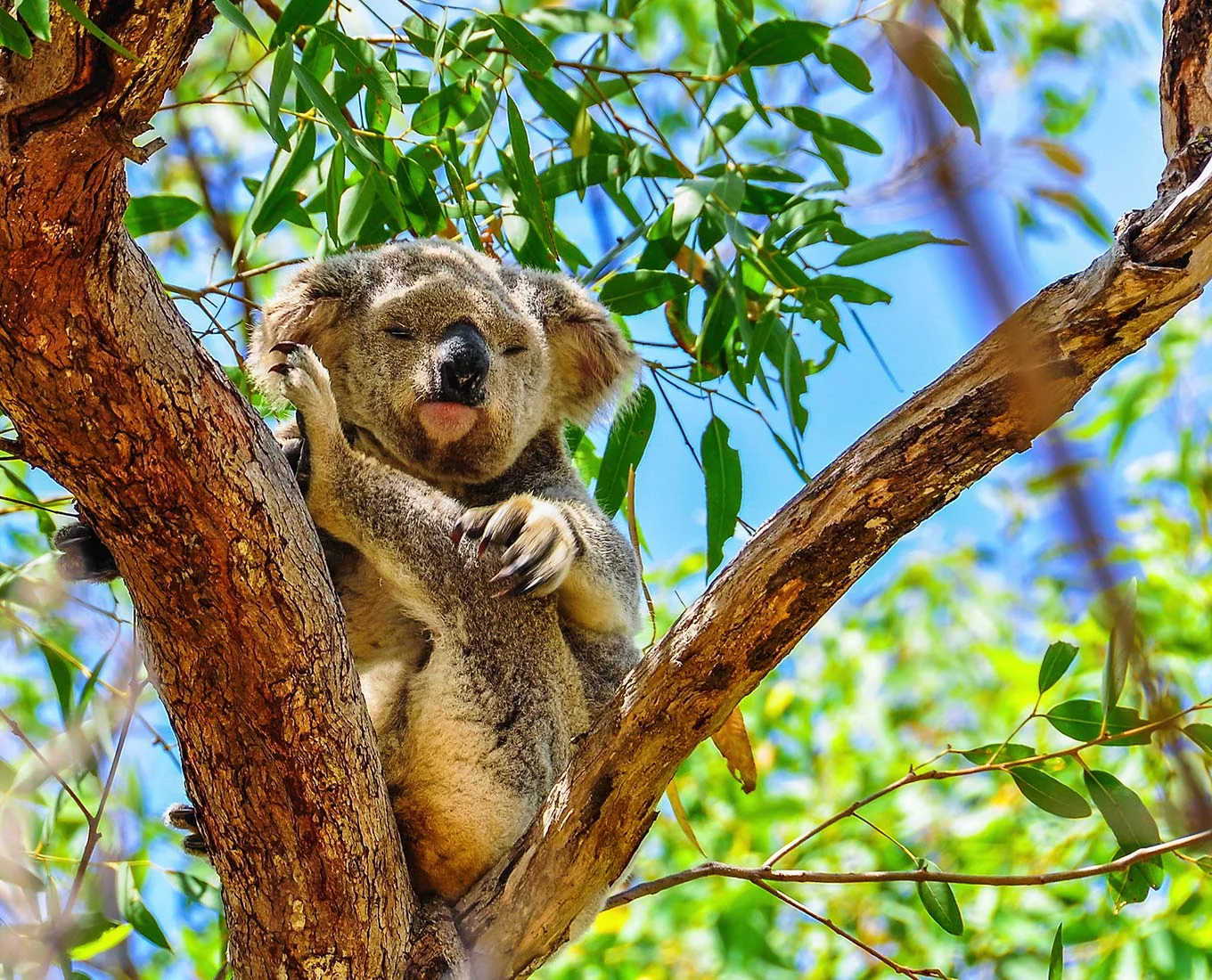 australian-offshore-day6.jpg