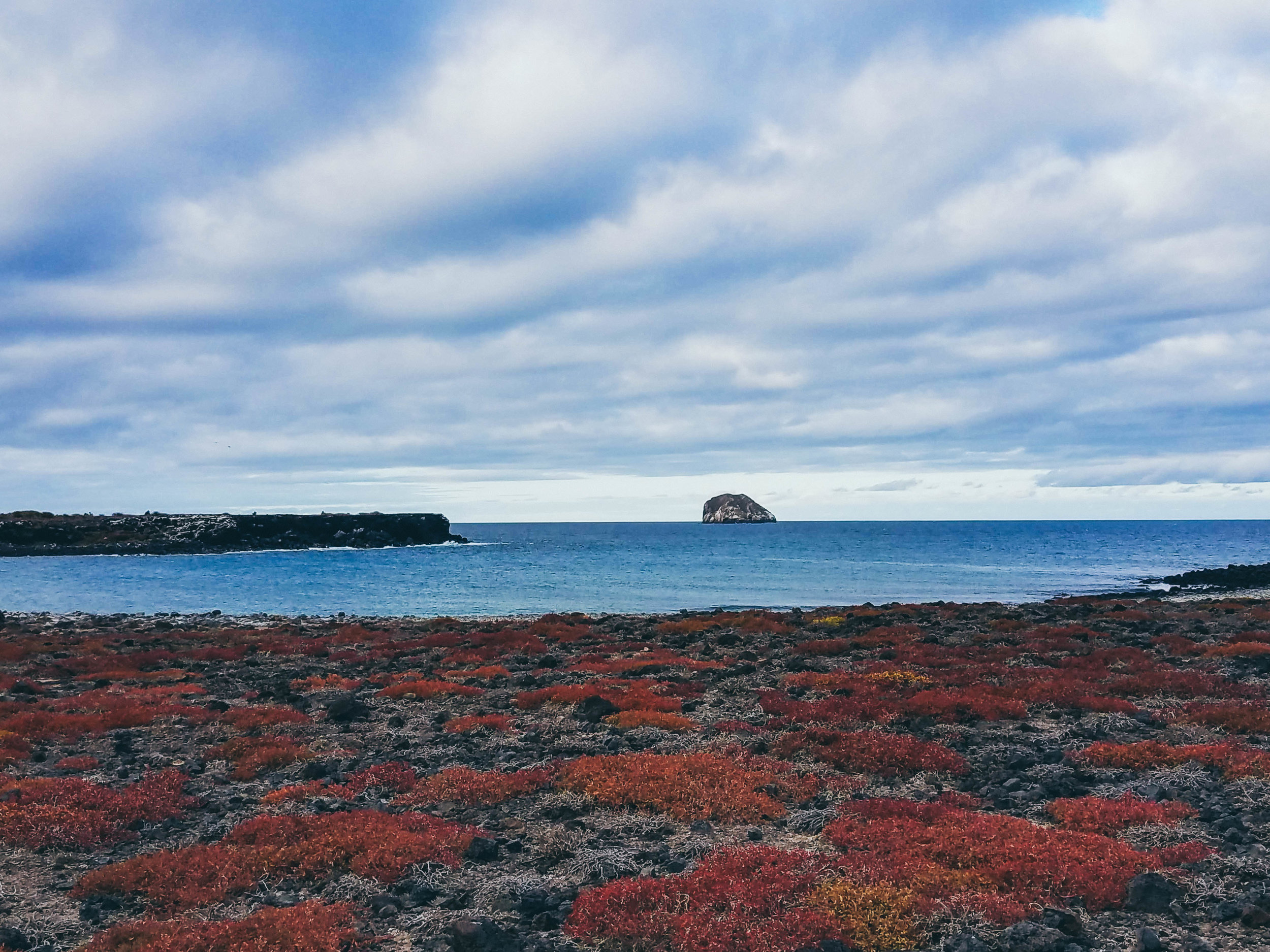 Galapagos Blog (4 of 12).jpg