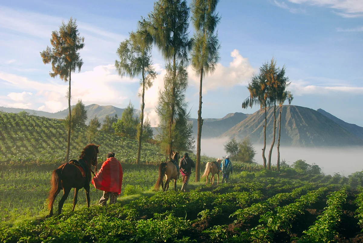Probolinggo, Java, Indonesia