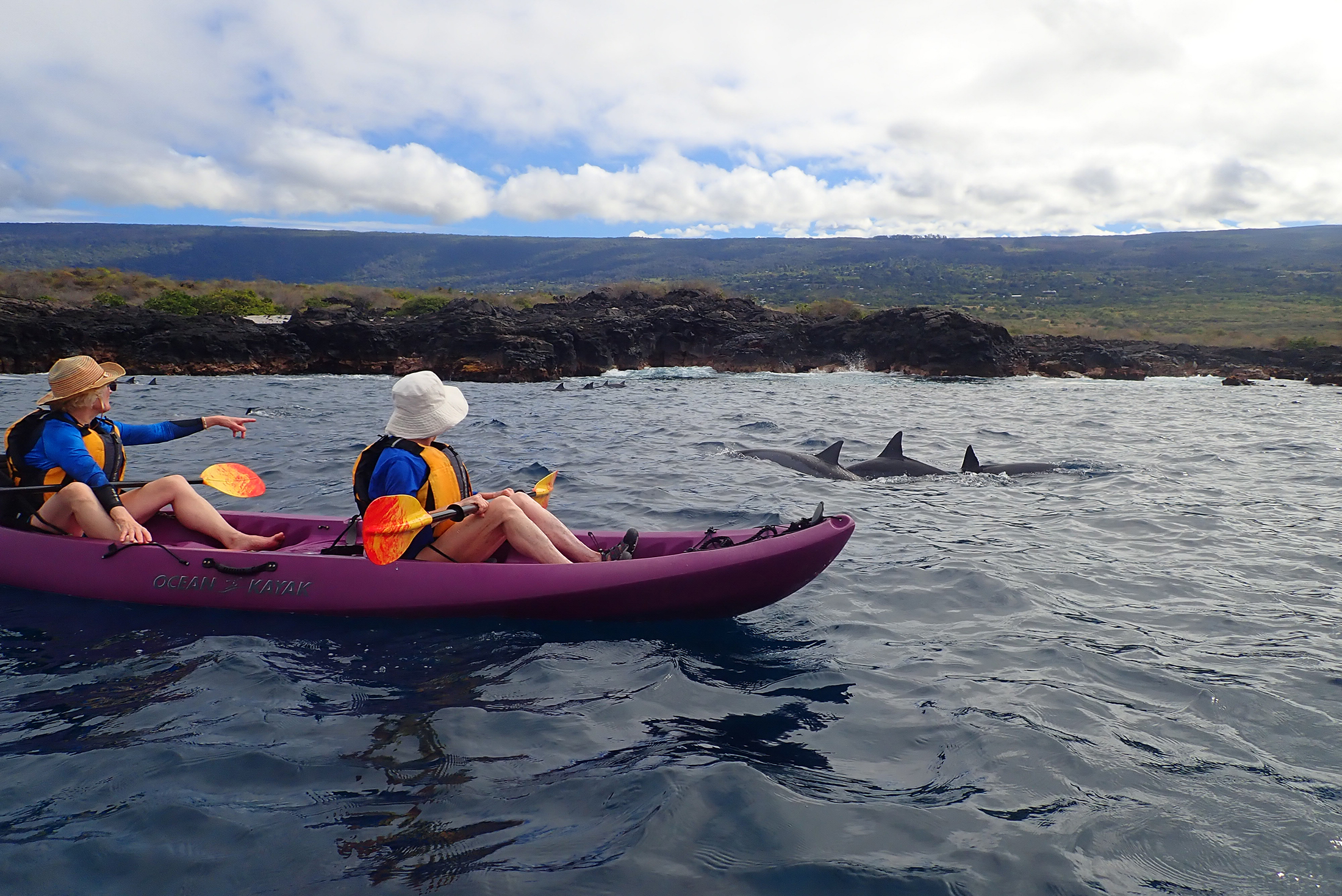 2200x1470-HI-UnCruise-kayakers-spotting-dolphins-Hawaii.jpg