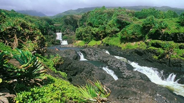 experiencing-maui-sights-and-sounds.jpg