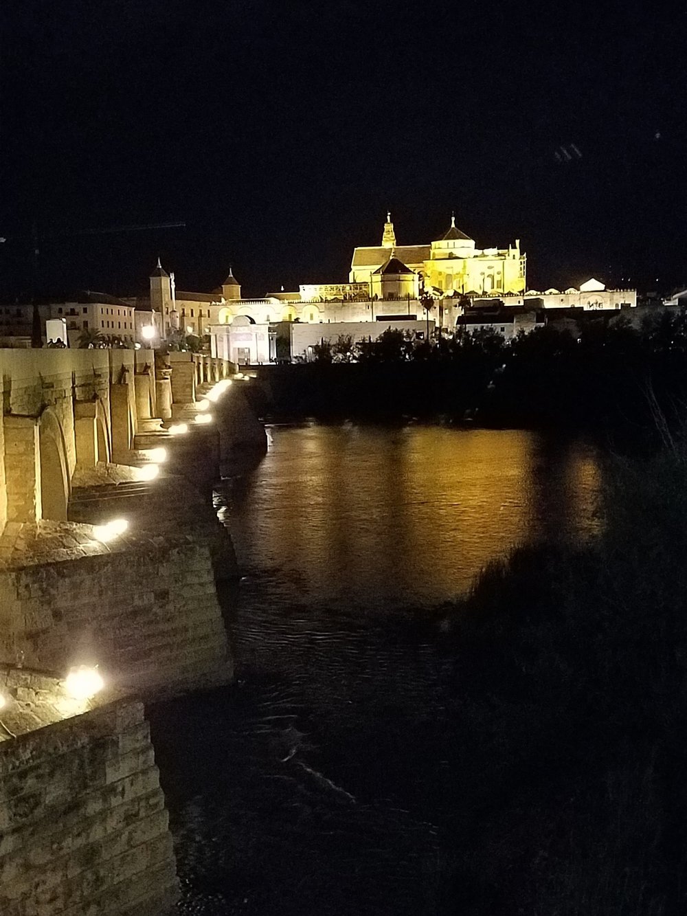  Looking back to the Mezquita complex from the Puente Romano. 