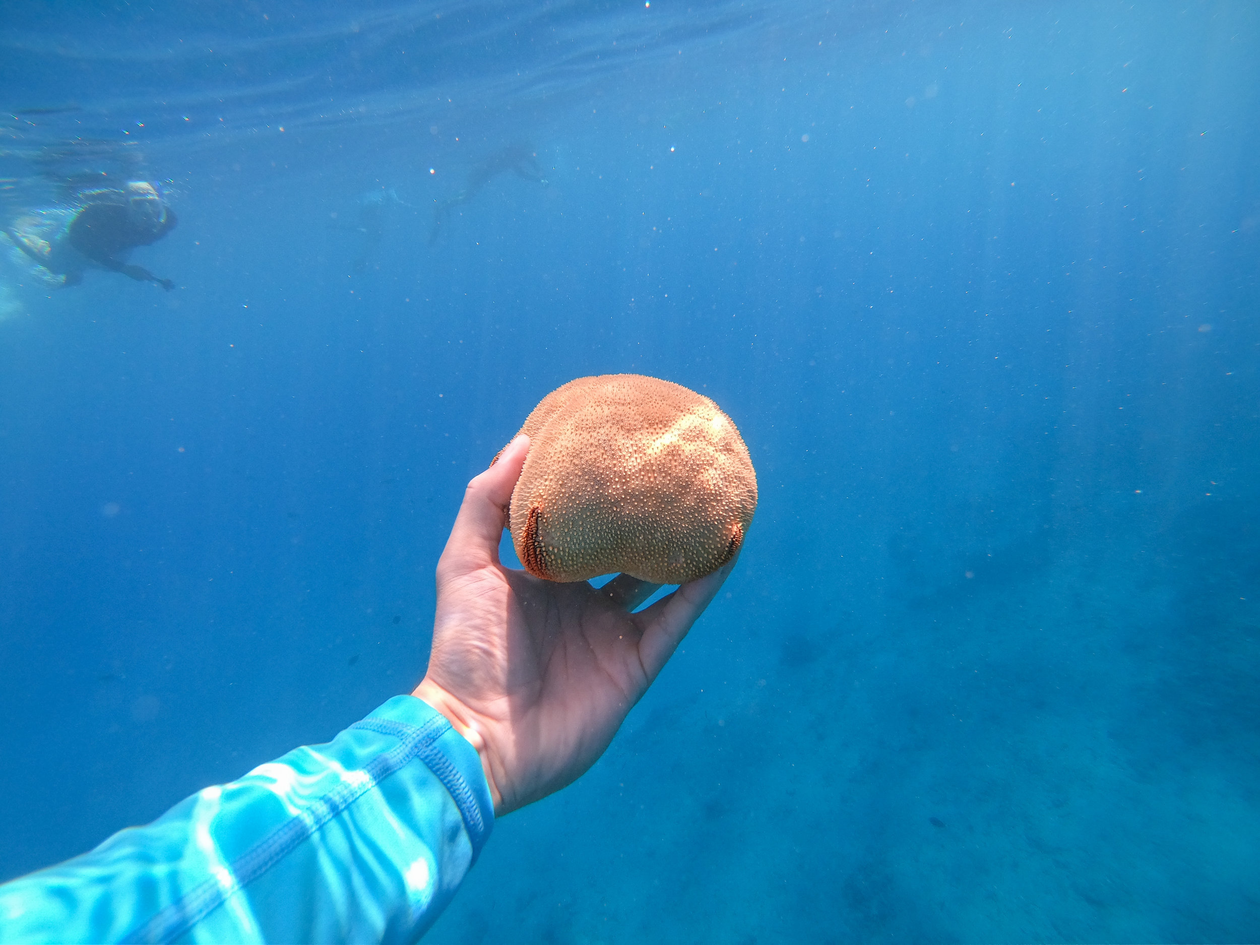 DCIM\100GOPRO\GOPR1947.JPG