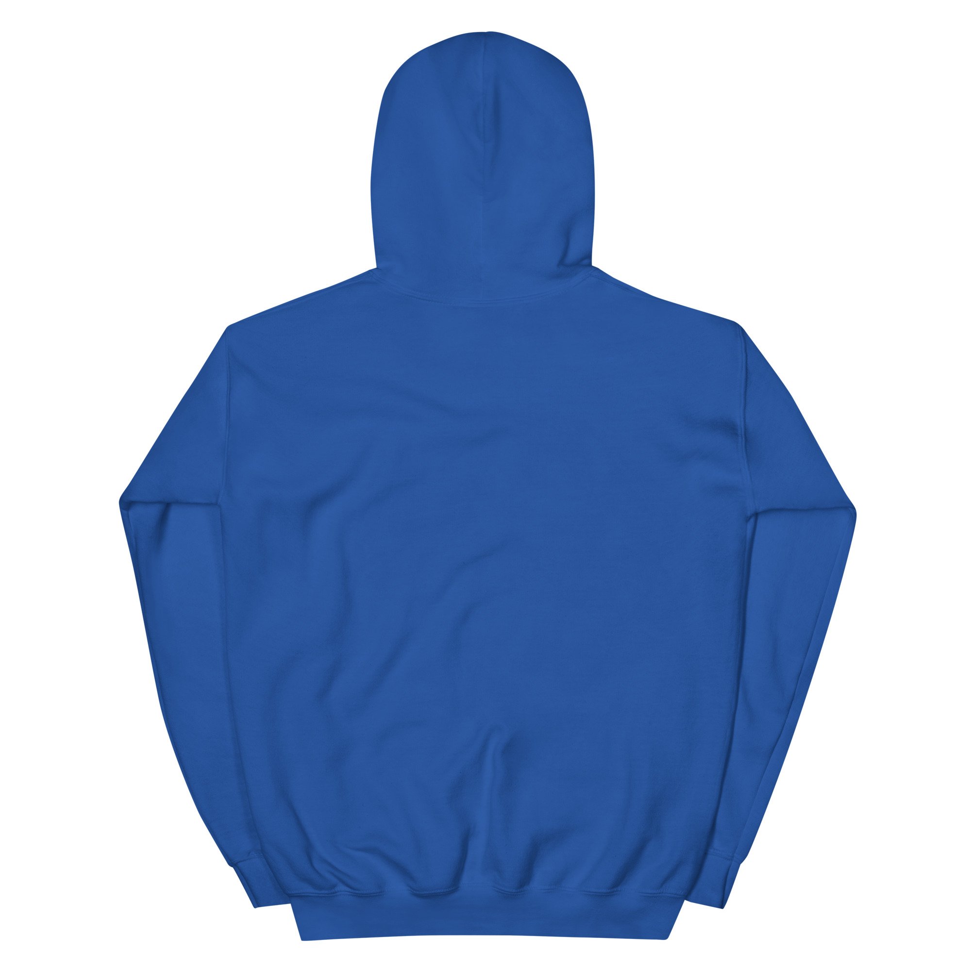 unisex-heavy-blend-hoodie-royal-back-699396e8884ec.jpg