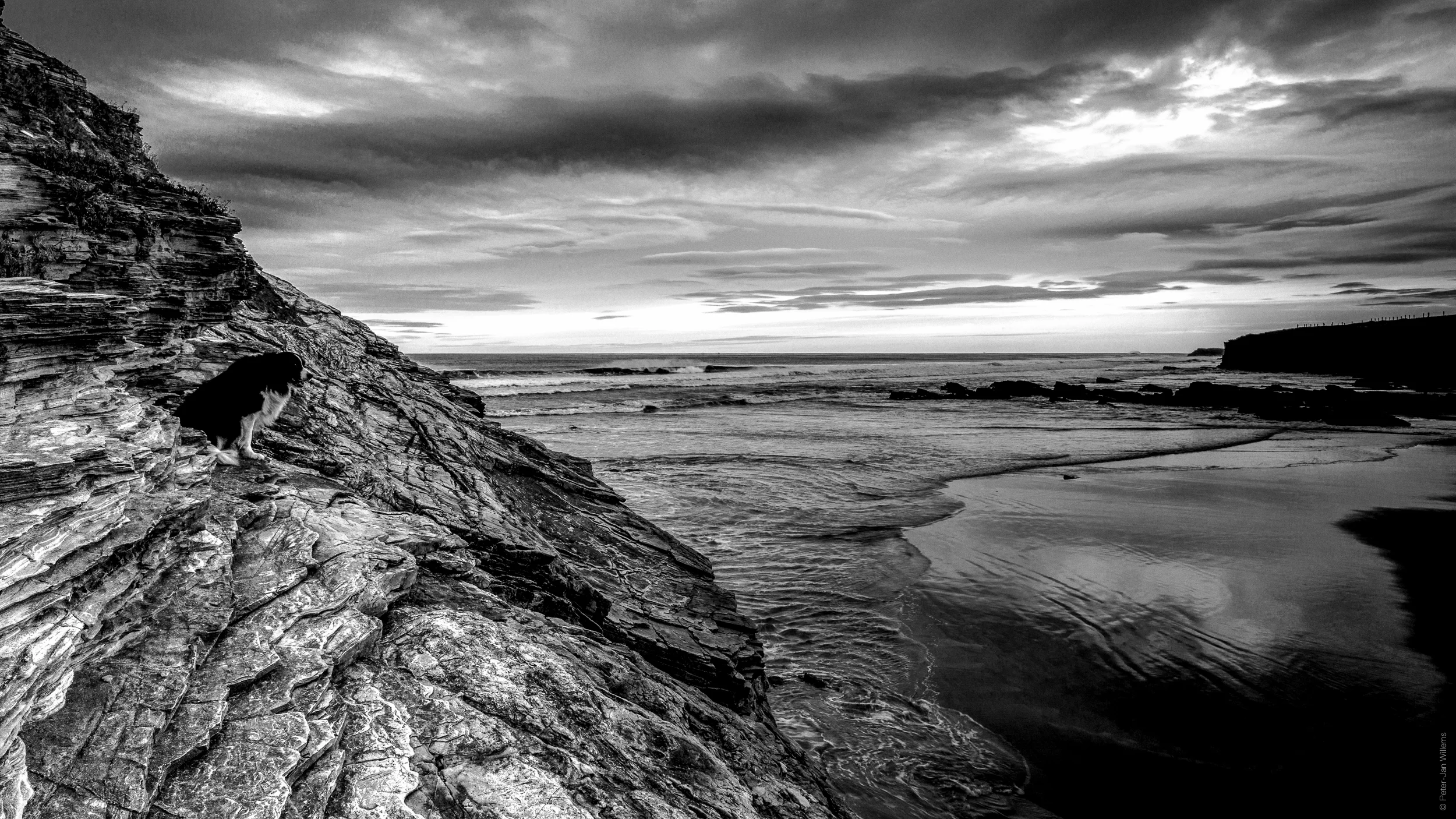 PJ_Wildlife-6.jpg