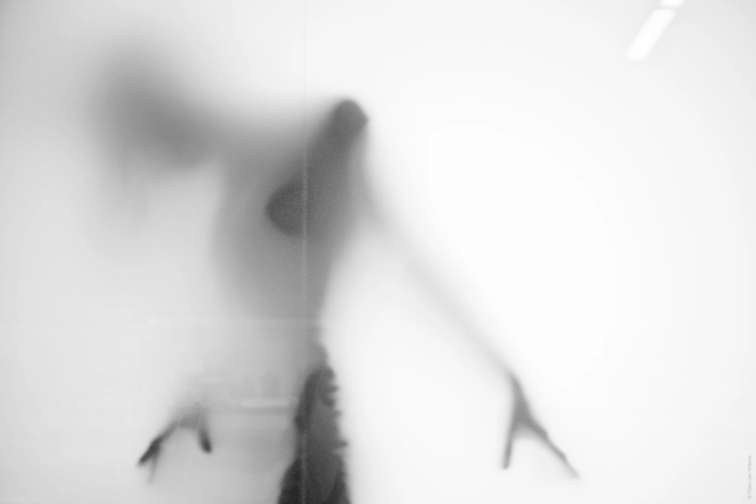 PJ_Portrait-1.jpg