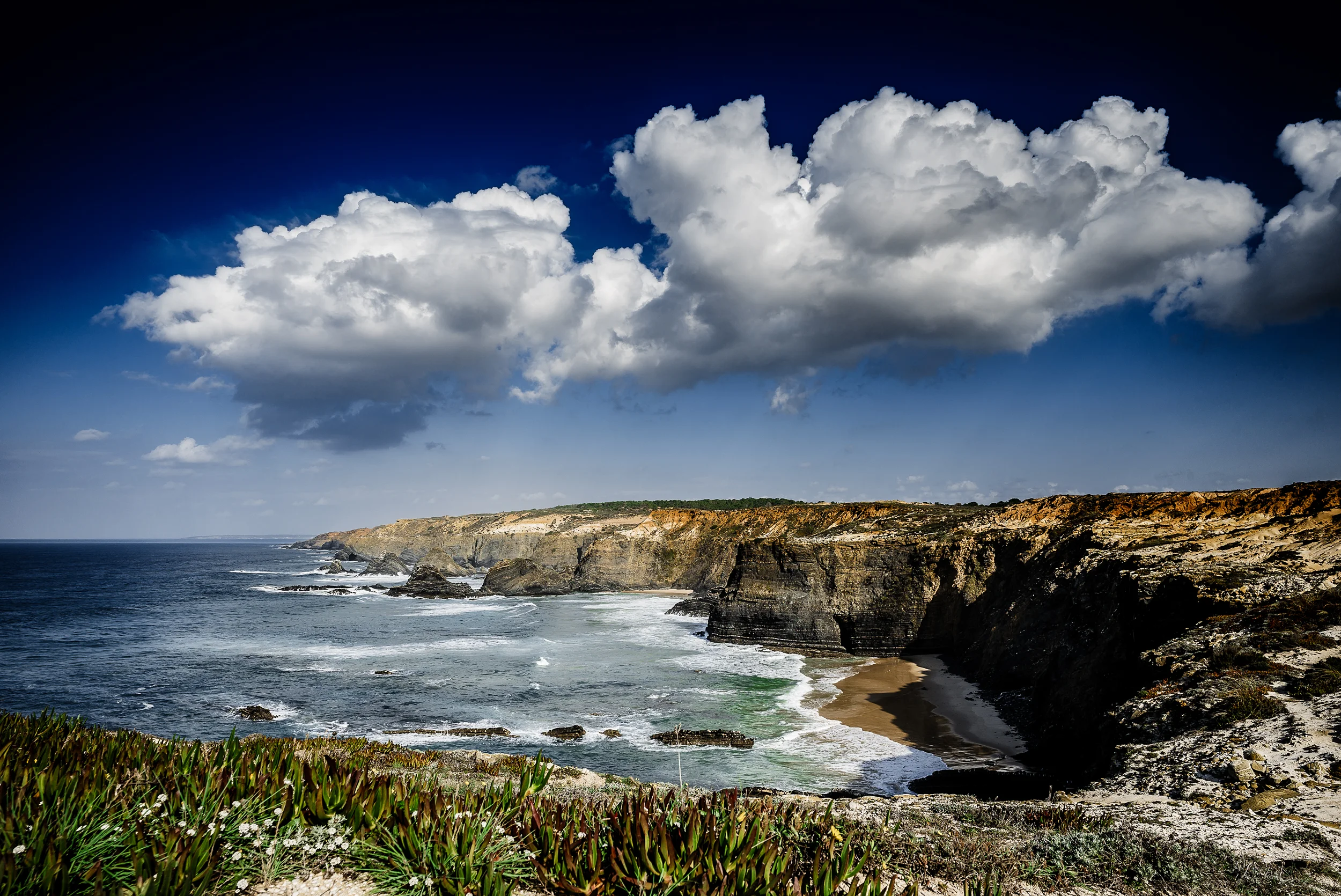 PJ_Ocean-26.jpg