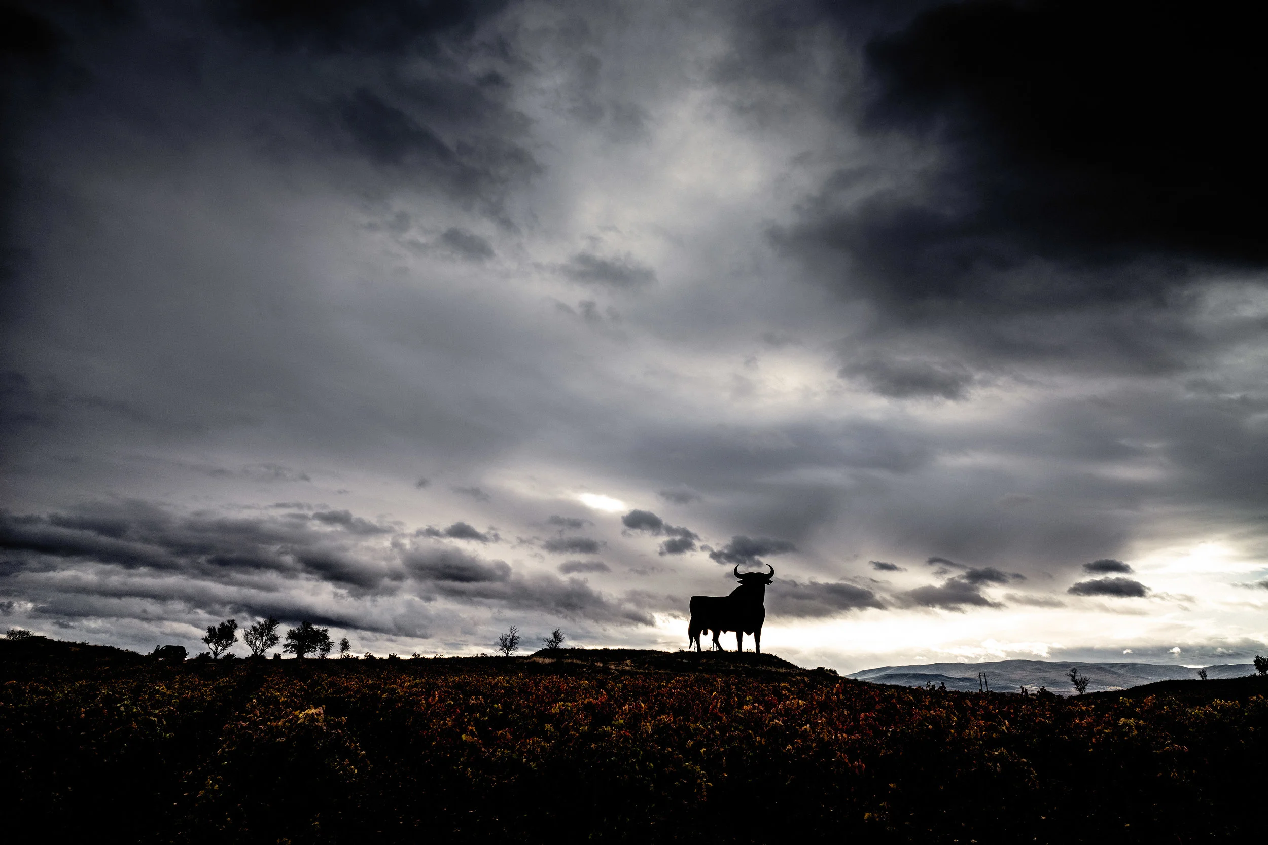 L1030440-Edit.jpg