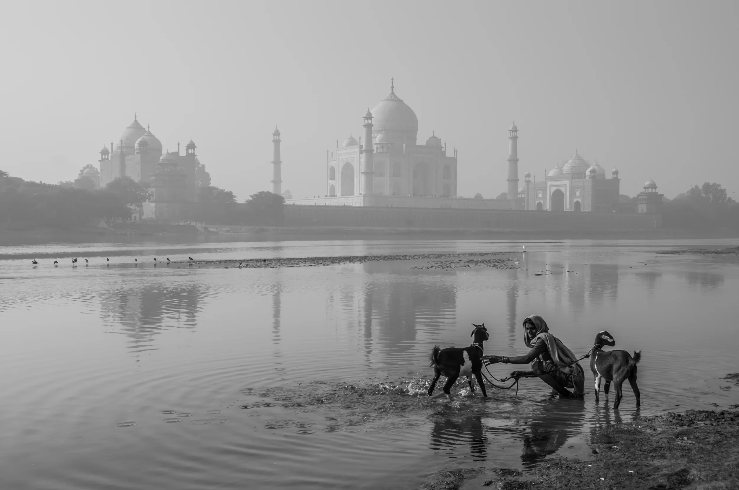 ON THE YAMUNA RIVER | Agra.India