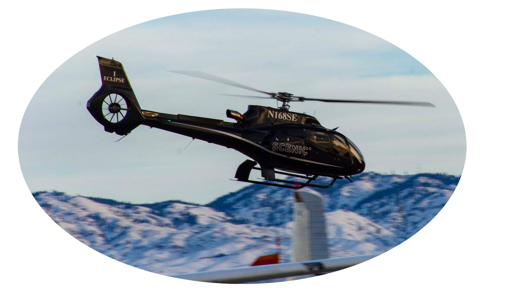 z1.png