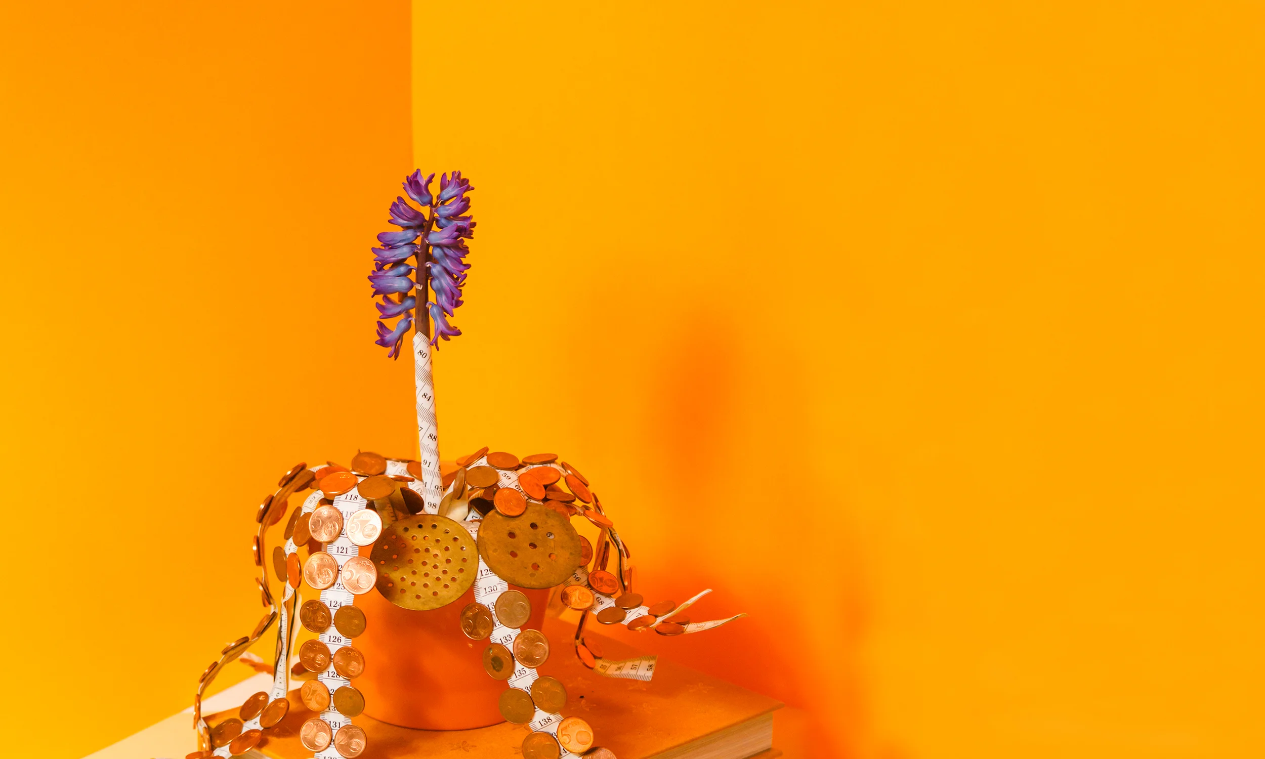 Banner.jpg