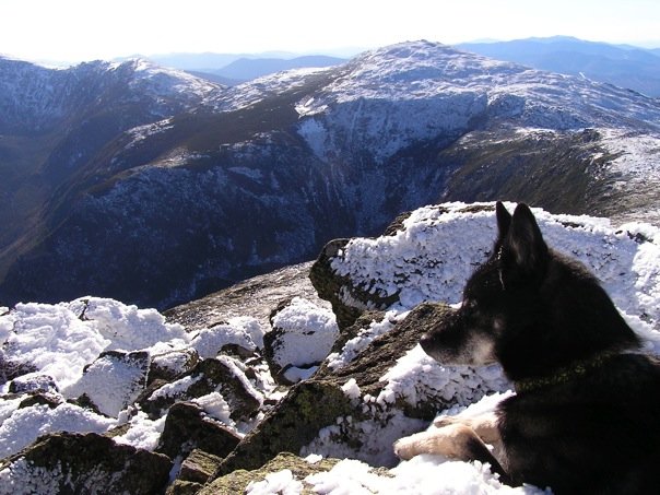 Taking in the view of the Great Gulf from the summit of Mt Adams
