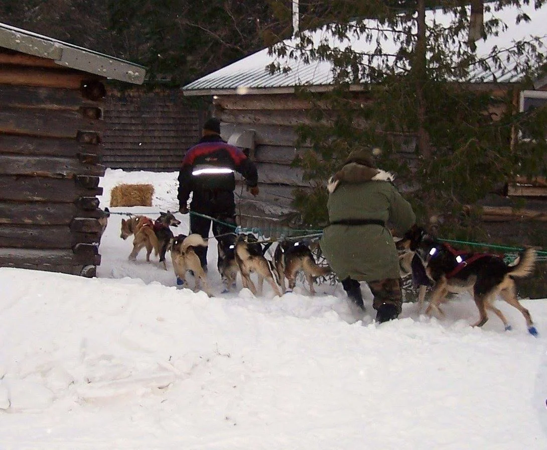 Moose Point EL 100 2018.jpg