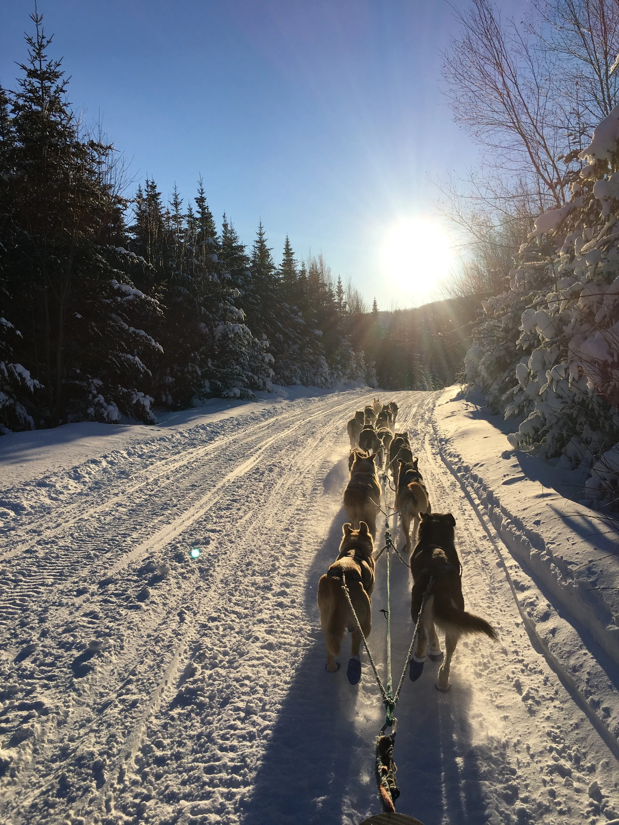 On the Balance of Confidence: What hope looks like in January