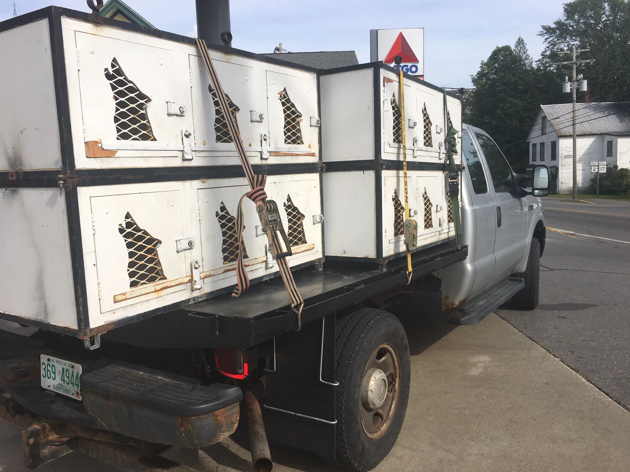 On Chaos and Change: A Chrysalis Year