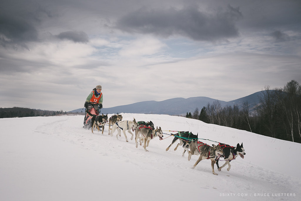 Jericho Race 2014