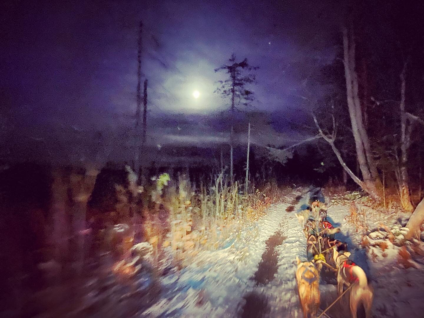 On Racing in a Pandemic: Why We're Staying Home 